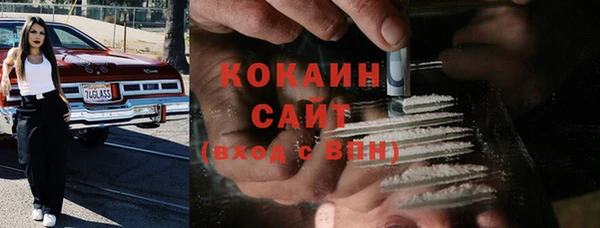 индика Малоархангельск