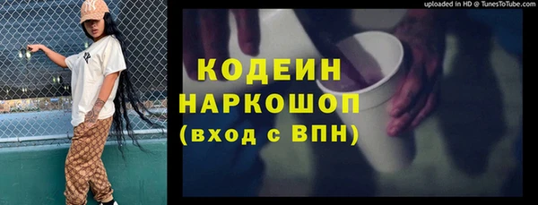 индика Няндома