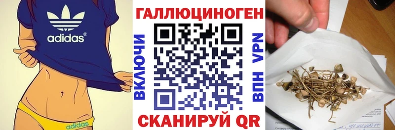 Псилоцибиновые грибы Psilocybe  Новый Оскол 